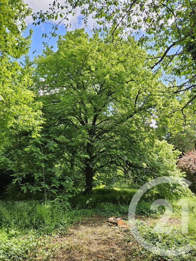 terrain à vendre - 1157.0 m2 - MIGNE AUXANCES - 86 - POITOU-CHARENTES - Century 21 L'Immobilière De Confiance